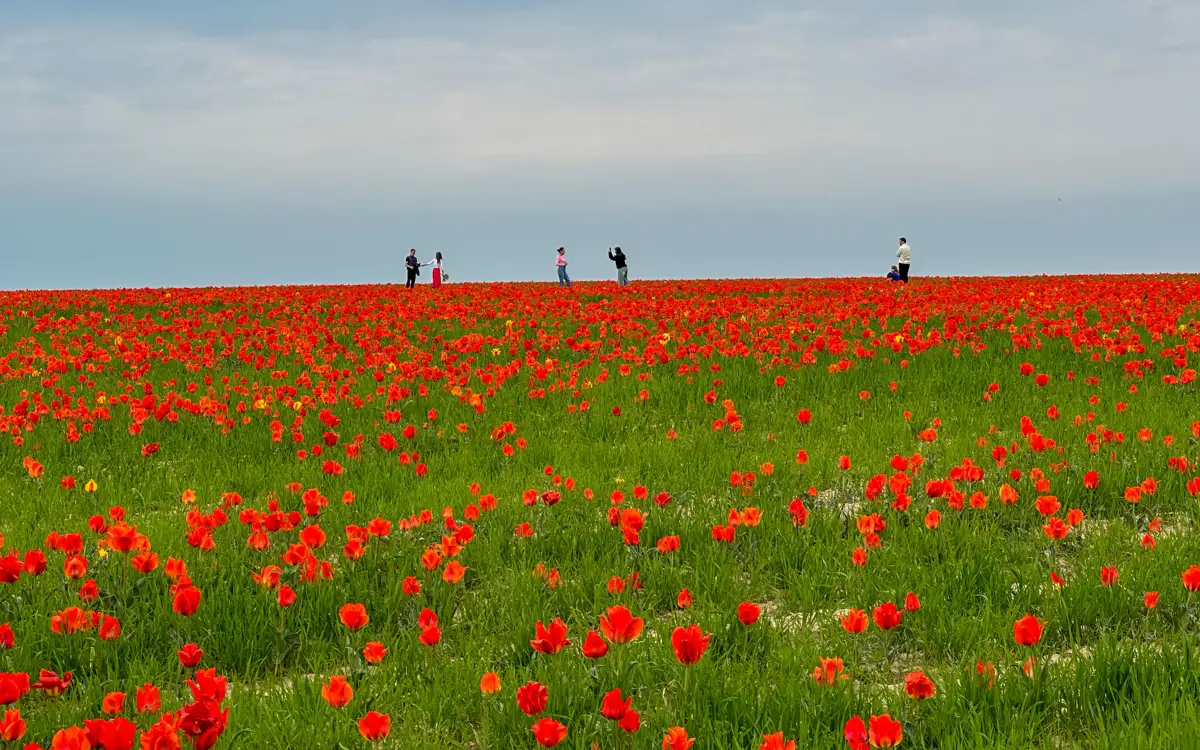 Лимонов Шендерович секс